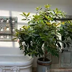 Bombayarte 4*
